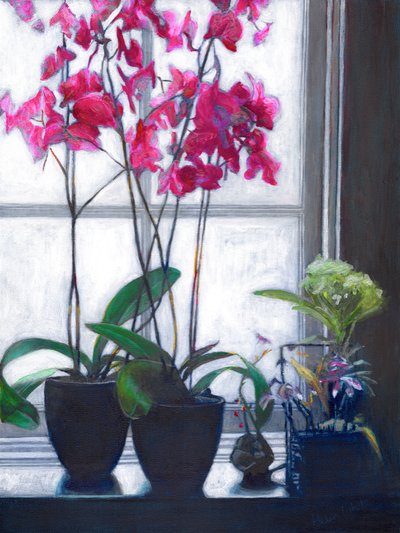 Ventana de Ámsterdam, 2021 de Helen White