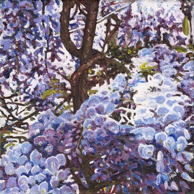 Glicinas azules, 2012 de Helen White
