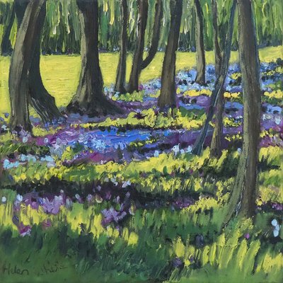 Bosque Bluebell, 2008 de Helen White