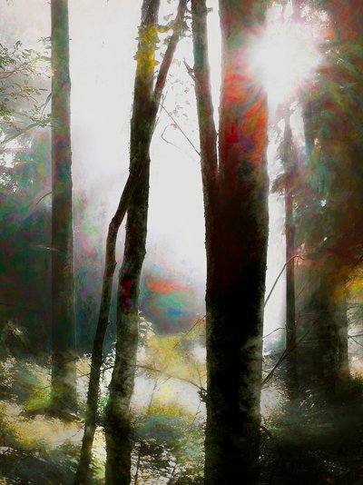 Atrévete a creer, 2018 de Helen White