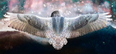 Atrévete a volar, 2019 de Helen White