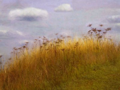 A la deriva de Helen White