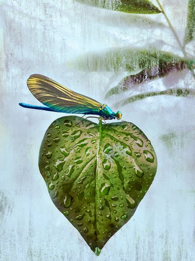 Visita voladora, 2019 de Helen White