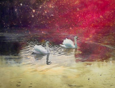 Lago Helado, 2019 de Helen White