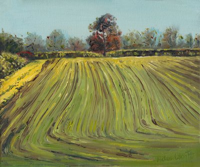 Surcos, 2008 de Helen White