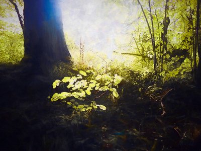 Lugar sagrado, 2018 de Helen White