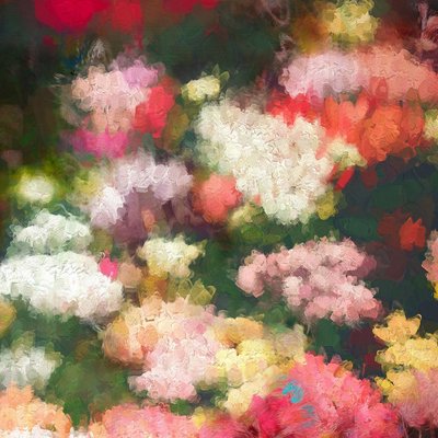 Jardín del Corazón, 2018 de Helen White