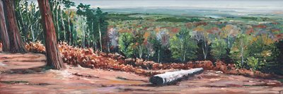 High Ridge, 2009 de Helen White