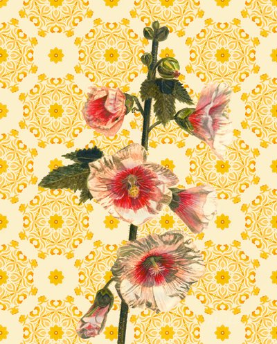 Malvarrosas al sol de Helen White