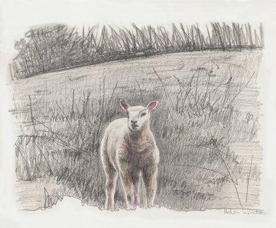 Lamby, 2016 de Helen White