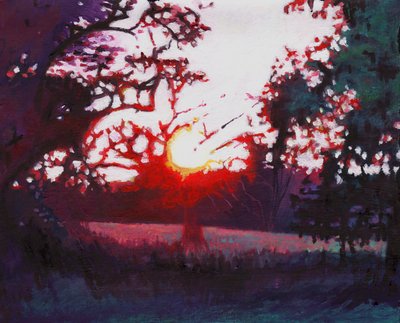 Aterrizaje ligero, 2013 de Helen White