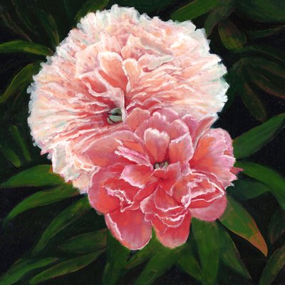 Magdalen College Peonies, 2023 (óleo sobre lienzo) de Helen White