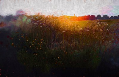 Resplandor de verano, 2020 de Helen White