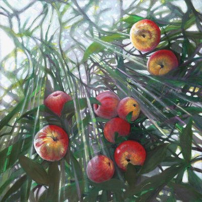 Nueva luz sobre Edén, 2016 de Helen White