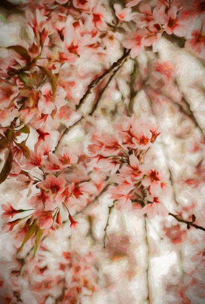 Orientalis de Helen White