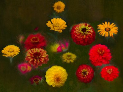 Belleza sobresaliente, 2019 de Helen White