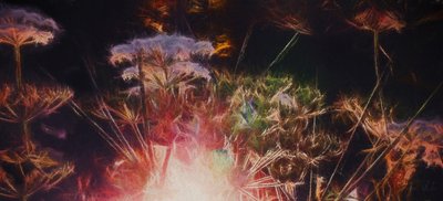 Seto radiante, 2018 de Helen White