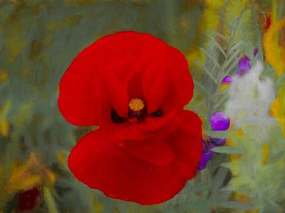 Escarlata de Helen White