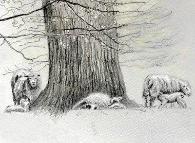 Shady Tree, 2022 de Helen White