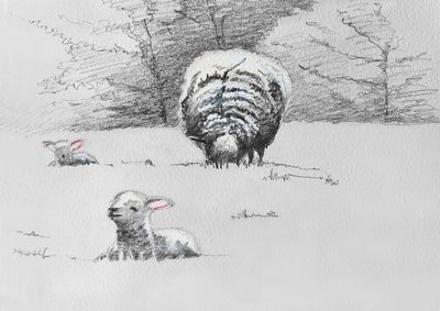 Trío Sheep, 2022 de Helen White