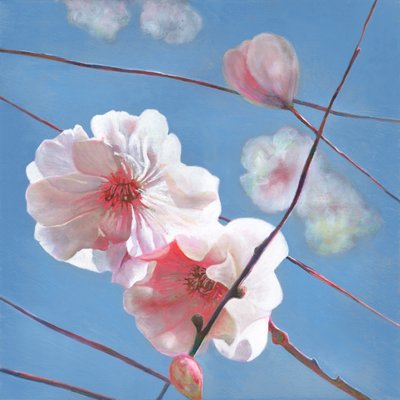 Comienzo brillante, 2015 de Helen White
