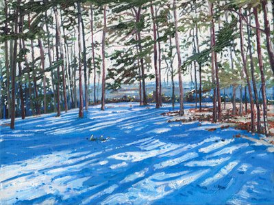 Cresta nevada, 2009 de Helen White