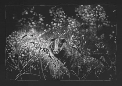 Tejón de primavera, 2023 de Helen White
