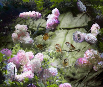 Gorriones de primavera, 2020 de Helen White