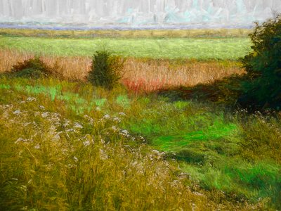 Pradera de Verano, 2019 de Helen White