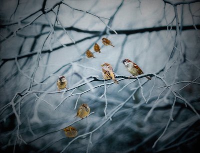 Lleno de vida, 2019 de Helen White