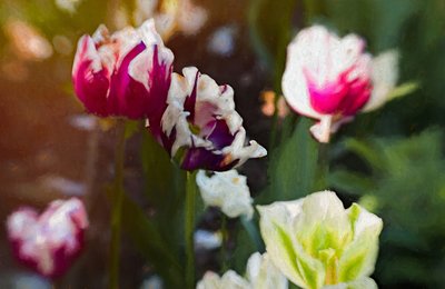 Parche de Tulipanes, 2019 de Helen White