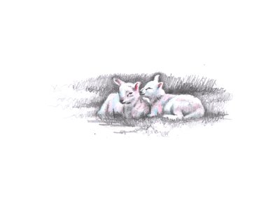 Gemelos, 2016 de Helen White