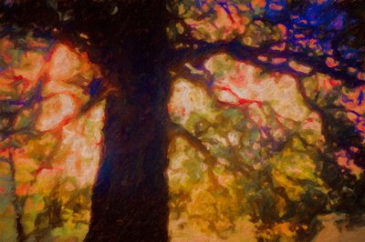 Bajo el roble extendido de Helen White