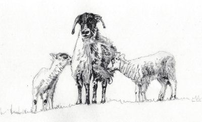 Nosotros Tres, 2012 de Helen White
