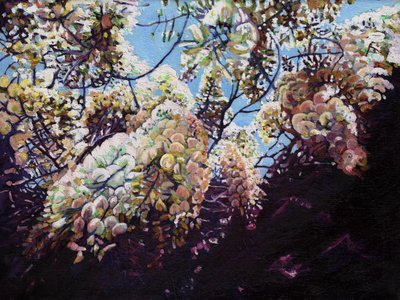 Glicinia blanca, 2012 de Helen White