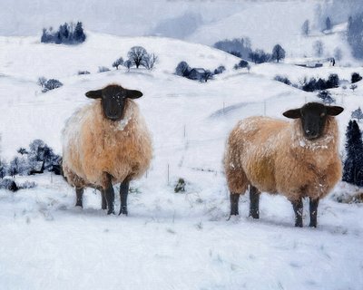 Abrigos de invierno, 2019 de Helen White