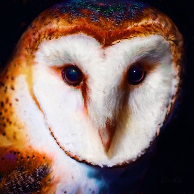 Sabiduría en la oscuridad de Helen White