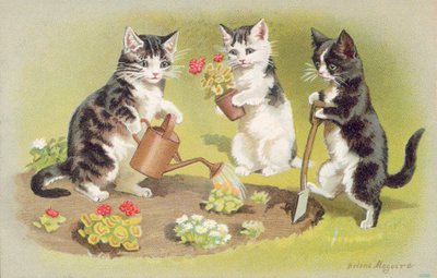 Postal felina (litografía en color) de Helena J. Maguire