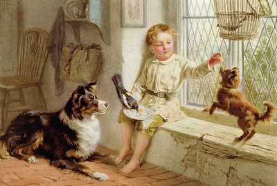 Amigos de Helena J. Maguire