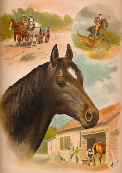 El caballo, c. 1900 de Helena J. Maguire