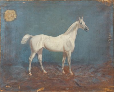 Un molde de Hema A. Groy