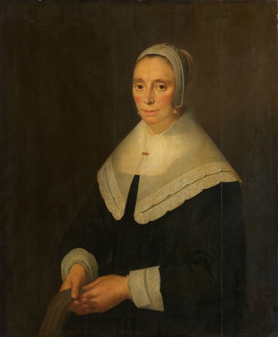 Retrato de mujer de Hendrick Cornelisz van Vliet