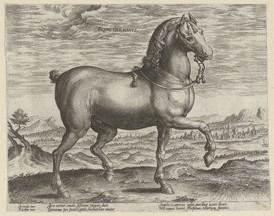 Semental de Alemania Eqvvs Germanvs (título sobre el objeto) Razas de caballos de las Caballerizas Reales de Don Juan de Austria (título de la serie) Equile Ioannis Austriaci Caroli (título de la serie) de Hendrick Goltzius (possibly)
