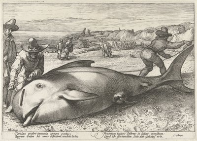 Amigo varado en la playa cerca de Zandvoort, 1594 de Hendrick Goltzius (workshop of)