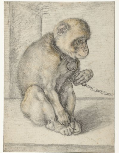 Un mono sentado en una cadena Mono encadenado, sentado de Hendrick Goltzius