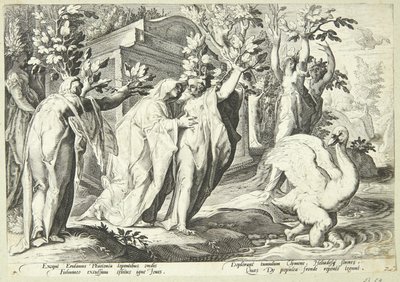 Las hermanas de Faetón se transforman en álamos y Cygnus en un cisne de Hendrick Goltzius