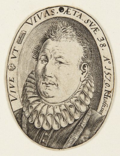 Gerrit Jansz. van Schooten de Hendrick Goltzius