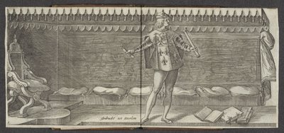 Heraldo Origen y breve historia de los condes de Hollandt Zeelandt y de Vrieslandt (título de la serie) Condes y condesas de Holanda (título de la serie) de Hendrick Goltzius