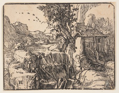 Paisaje con cascada de Hendrick Goltzius