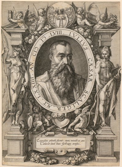 Retrato de Julio César Scaliger de Hendrick Goltzius